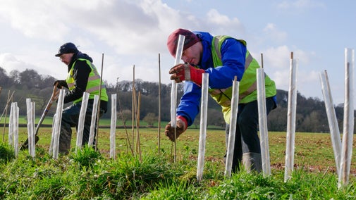 Two men in hi-vis vests planting saplings in grassy bank